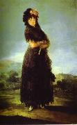 Francisco Jose de Goya Portrait of Mariana Waldstein. China oil painting reproduction